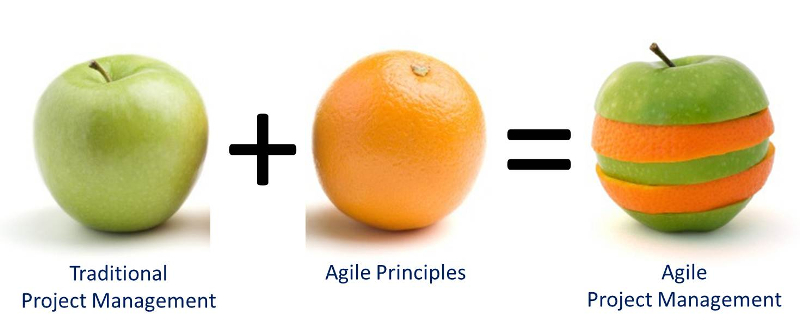 Agile vs Waterfall Project Management